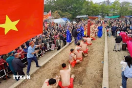 Nghi lễ và thực hành trò chơi kéo co ngồi Đền Trấn Vũ diễn ra vào ngày 3/3 âm lịch hằng năm. (Ảnh: Thanh Tùng/TTXVN)