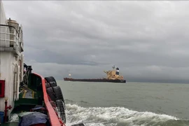 Ảnh minh họa. (Nguồn: TTXVN)