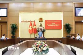 Tổng Bí thư, Chủ tịch nước Tô Lâm phát biểu. (Ảnh: Doãn Tấn/TTXVN)
