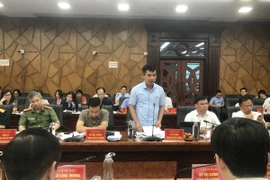 Đại biểu phát biểu ý kiến tại hội nghị Hải Phòng và Hải Dương họp bàn về các chỉ tiêu hợp nhất. (Ảnh: Tiến Vĩnh/TTXVN)