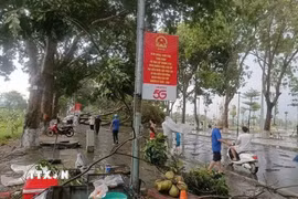 Nhiều cây xanh bị đổ, gãy gây ách tắc giao thông. (Ảnh: TTXVN phát)