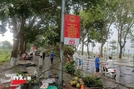 Nhiều cây xanh bị đổ, gãy gây ách tắc giao thông. (Ảnh: TTXVN phát)
