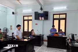 Phiên toà xét xử. (Ảnh: TTXVN phát)