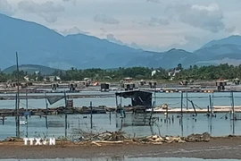 Khu neo đậu có diện tích vùng nước rộng 104 ha, trong đó có 52 ha được nạo vét ở cao trình từ 2,5m đến 4,5m. (Ảnh: Đoàn Hữu Trung/TTXVN)