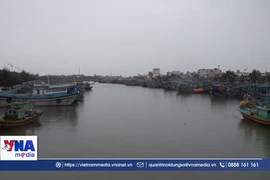Ven biển Lâm Đồng chủ động ứng phó trước bão số 13 