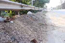 Dăm gỗ rơi vãi trên mặt đường Quốc lộ 24C được người dân thu gom dọc vỉa hè. (Ảnh: Phạm Cường /TTXVN)