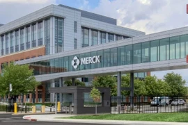 Ảnh minh họa. (Nguồn: AFP)