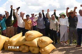 Ảnh minh họa. (Nguồn: Việt Hùng/TTXVN)