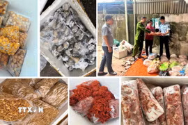 Chủ cơ sở thừa nhận, số hàng hoá trên được thu mua trôi nổi trên thị trường với giá thành rẻ, sau đó mang về cấp đông và chủ yếu bán cho các quán nướng vỉa hè, quán lẩu, quán nhậu, quán ăn vặt… (Ảnh: TTXVN phát)