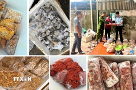Chủ cơ sở thừa nhận, số hàng hoá trên được thu mua trôi nổi trên thị trường với giá thành rẻ, sau đó mang về cấp đông và chủ yếu bán cho các quán nướng vỉa hè, quán lẩu, quán nhậu, quán ăn vặt… (Ảnh: TTXVN phát)