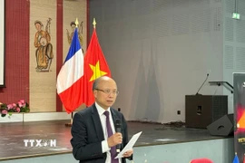 Đại sứ đặc mệnh toàn quyền Việt Nam tại Pháp Đinh Toàn Thắng. (Ảnh: Hữu Chiến/TTXVN)