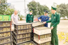 Đối tượng Trần Văn Kỳ và số gia cầm giống, trứng vịt lộn không rõ nguồn gốc. (Nguồn: Báo Quảng Ninh)