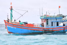 Lai dắt tàu cá vào âu tàu đảo Sơn Ca an toàn.
