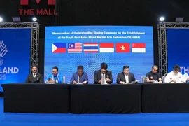 Các nước nhóm họp nhằm thống nhất các nội dung liên quan. (Nguồn: Cục Thể thao)