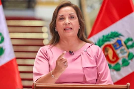 Tổng thống Dina Boluarte. (Nguồn: AFP)