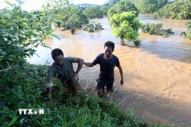 Sau khi được lực lượng Cảnh sát PCCC và cứu nạn cứu hộ, Công an tỉnh Sơn La giải cứu, anh Bùi Văn Cường (bên trái) được người dân đưa vào bờ an toàn. (Ảnh: Quang Quyết/TTXVN)