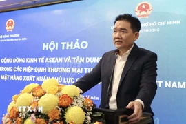 Ông Nguyễn Trường Thi, Phó Giám đốc Sở Công Thương Thành phố Hồ Chí Minh phát biểu tại hội thảo. (Ảnh: Xuân Anh/TTXVN)