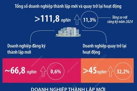 Số doanh nghiệp thành lập mới và quay trở lại hoạt động tăng 11,3% 