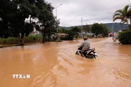 Một đoạn quốc lộ 20 vẫn còn ngập sâu. (Ảnh: Nguyễn Dũng/TTXVN)