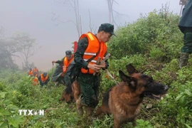 Triển khai lực lượng tìm kiếm nạn nhân mất tích trong vụ sạt lở ở xã biên giới Hùng Sơn với sự hỗ trợ của chó nghiệp vụ. (Ảnh: Bộ Tư lệnh Quân khu 5/TTXVN phát)