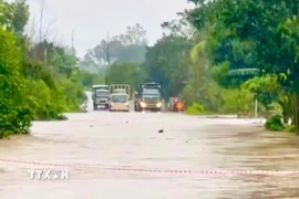 Quốc lộ 29 đoạn qua xã Đức Bình bị ngập sâu, chia cắt giao thông. (Ảnh: TTXVN phát)