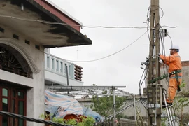 Công nhân Công ty Điện lực Hưng Yên khắc phục sự cố lưới điện trên địa bàn xã Thái Thụy. (Ảnh: Thế Duyệt/TTXVN)