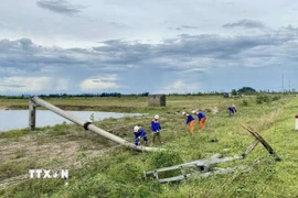 Công ty Điện lực Hà Tĩnh huy động lực lượng khắc phục tại các vị trí cột điện bị gãy, đổ. (Ảnh: Hữu Quyết/TTXVN)