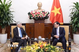 Phó Thủ tướng, Bộ trưởng Ngoại giao Bùi Thanh Sơn tiếp Bí thư Thường trực Bộ Ngoại giao Singapore Albert Chua. (Ảnh: An Đăng/TTXVN) 
