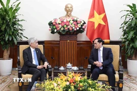 Phó Thủ tướng, Bộ trưởng Ngoại giao Bùi Thanh Sơn tiếp Bí thư Thường trực Bộ Ngoại giao Singapore Albert Chua. (Ảnh: An Đăng/TTXVN) 