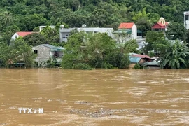 Nước sông Mã dâng khiến khoảng 30 hộ dân thôn Cửa Hà, xã Cẩm Thuỷ ngập sâu trong nước. (Ảnh: Việt Hoàng/TTXVN)