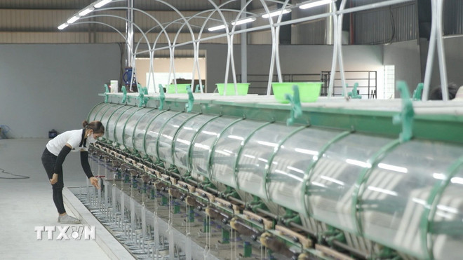 農業におけるハイテクの応用。(写真:VNA) ttxvn-ung-dung-cong-nghe-trong-nong-nghiep.jpg