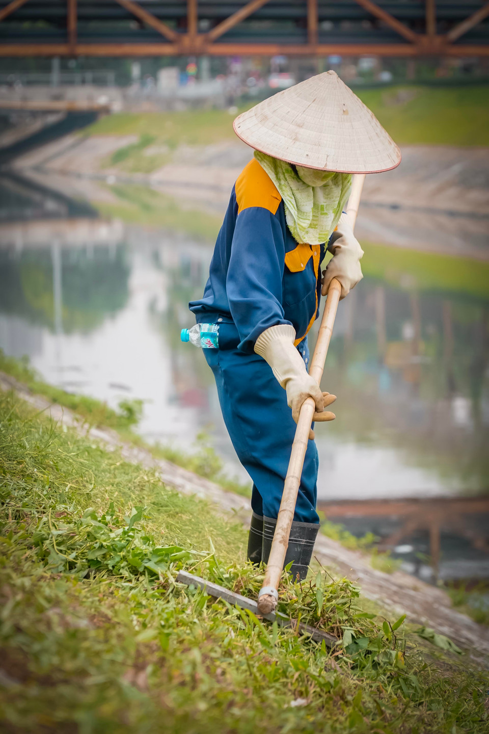 Hình ảnh nữ công nhân đang cặm cụm thu dọn cỏ dại. (Ảnh: PV/Vietnam+)