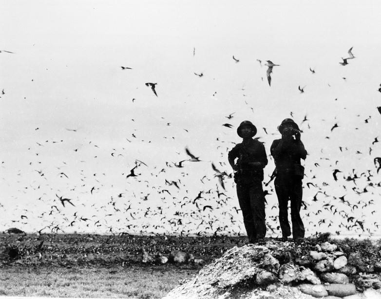 Bộ đội hải quân trên đảo Trường Sa được giải phóng, ngày 29/4/1975. (Ảnh: Nguyễn Khắc Xuế/TTXVN)