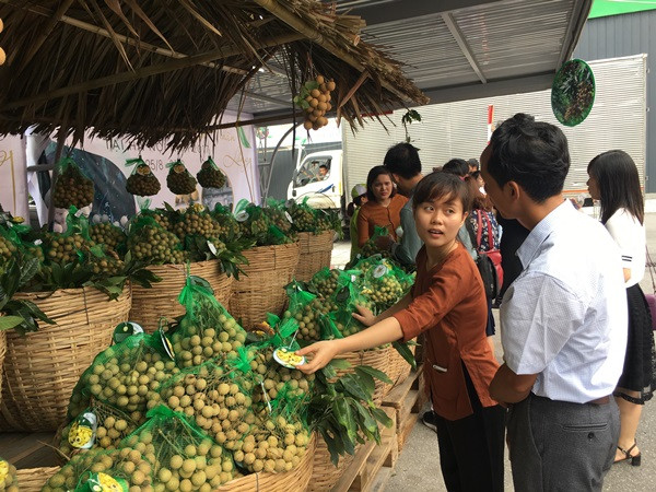 Sản phẩm nhãn lồng Hưng Yên đã được cấp chỉ dẫn địa lý và có mã vạch truy xuất nguồn gốc rõ ràng. (Ành: Thanh Tâm/Vietnam+)