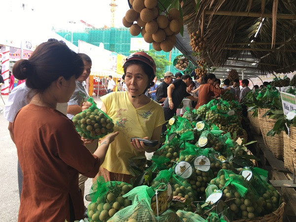 Nhãn lồng là sản phẩm đặc trưng của Hưng Yên, sản phẩm đã được đăng ký chỉ dẫn địa lý và có thương hiệu riêng. (Ảnh: Thanh Tâm/Vietnam+)