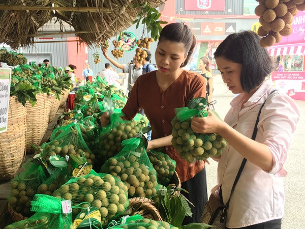 Người tiêu dùng lựa chọn sản phẩm nhãn lồng Hưng Yên tại Tuần lễ nhãn lồng Hưng Yên tại Hà Nội. (Ảnh: Thanh Tâm/Vietnam+)