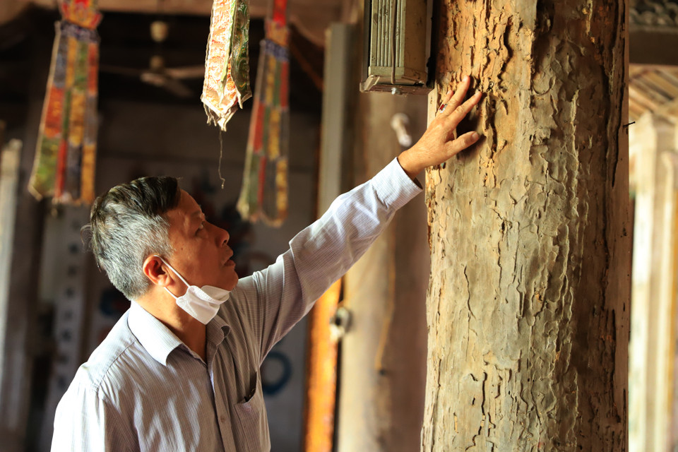 Các cột trụ chính trong chùa cũng bị mối mọt, thậm chí nhiều cột đã rỗng hết gỗ bên trong. (Ảnh: Hoài Nam/Vietnam+)