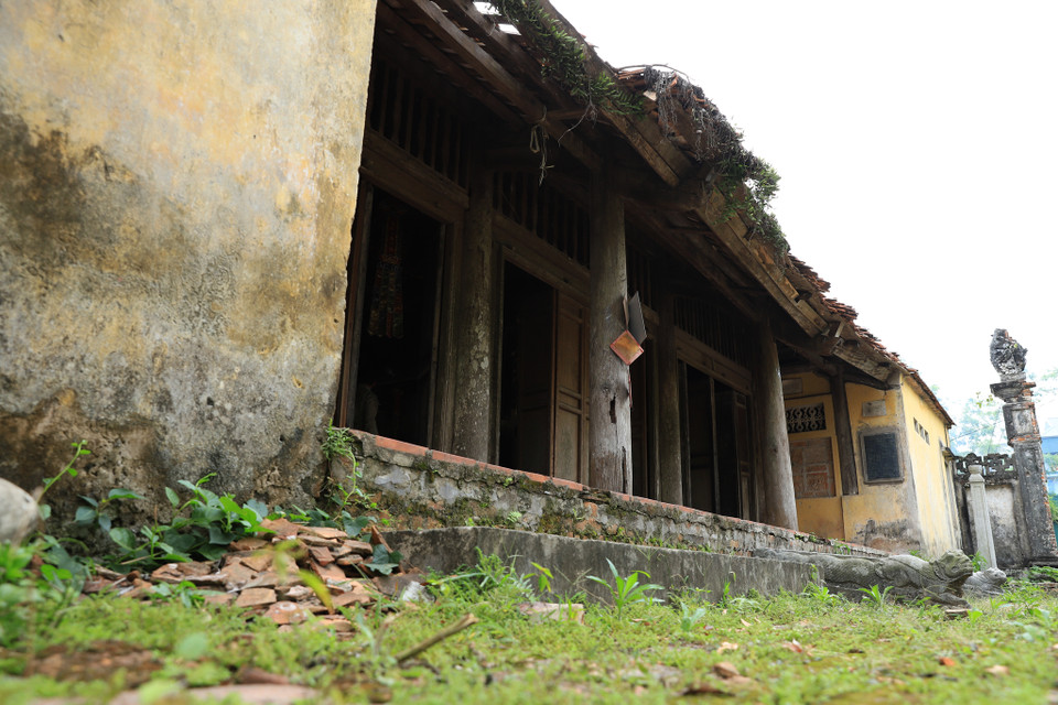 Sân trước chùa cỏ mọc um tùm, mảnh gạch ngổn ngang. Trụ trì Thích Đàm Vinh cho biết chùa đã xuống cấp từ nhiều năm trước, tuy nhiên chưa thống nhất được phương án sửa chữa nên đành để chùa trong tình trạng như hiện nay. (Ảnh: Hoài Nam/Vietnam+)