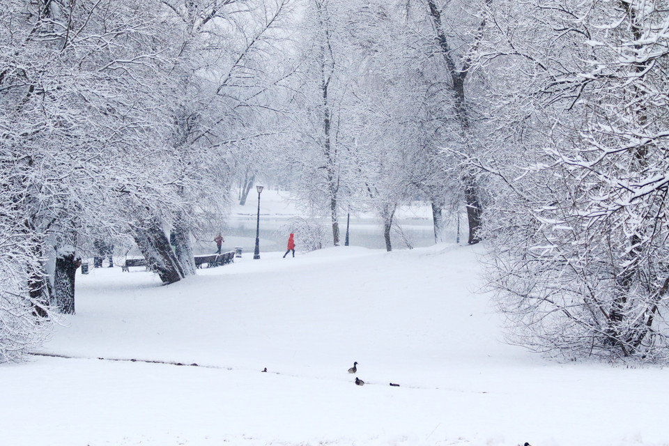 Công viên Sarysino được bao phủ bởi tuyết trắng. (Ảnh: Trần Hiếu/TTXVN)