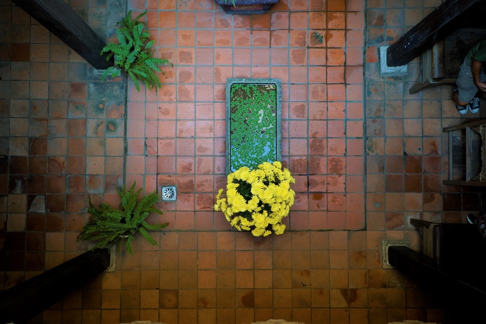 Khoảng sân trời thoáng đãng, trồng nhiều cây xanh. (Ảnh: Minh Hiếu/Vietnam+)h