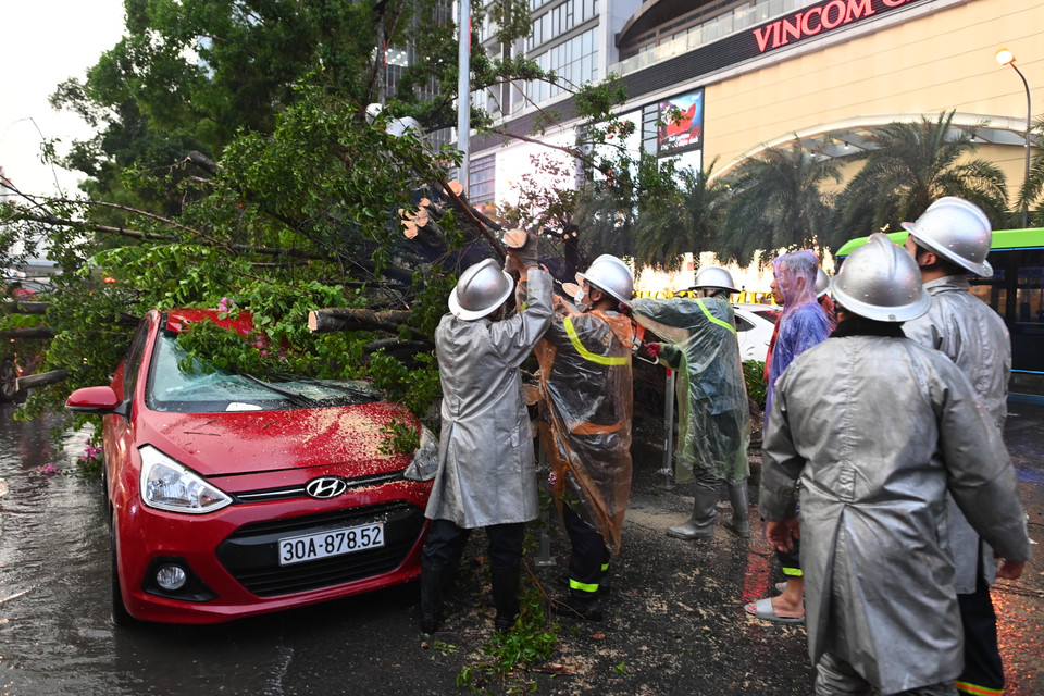  Trước đó, vào chiều 30/7, tại đường Kim Mã, quận Ba Đình, một cây cổ thụ gãy đổ, đè lên 2 ô tô đang di chuyển trên đường. Nguyên nhân do mưa lớn kèm dông gây tác động đến bộ rễ khiến cây ngã về hướng mặt đường Kim Mã (trước cổng Vincom Metropolis). (Ảnh: Minh Sơn/Vietnam+)