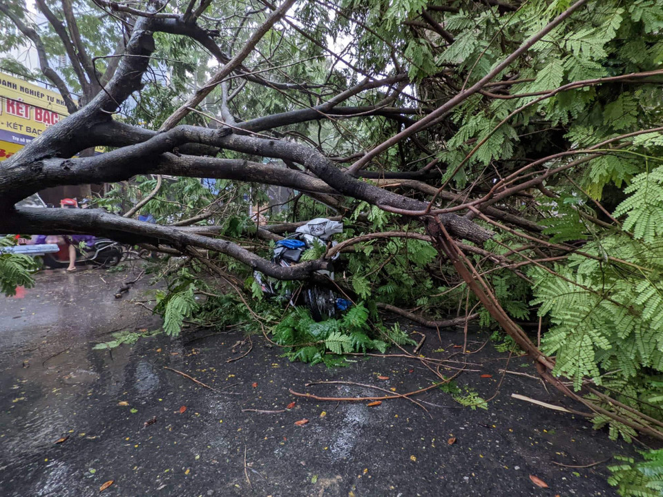 May mắn, sự cố không gây thiệt hại về người. (Ảnh: Minh Sơn/Vietnam+) 