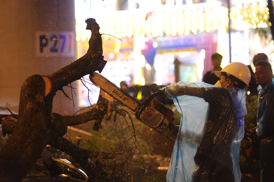  (Ảnh: Minh Sơn/Vietnam+)