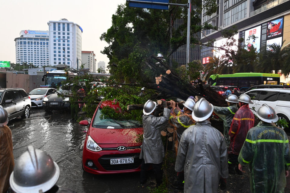 Nhận được tin báo, Đội Cảnh sát giao thông số 2, Phòng Cảnh sát Giao thông (Công an thành phố Hà Nội) có mặt phân luồng giao thông, liên hệ với Công ty TNHH Một thành viên Cây xanh Hà Nội đến giải quyết sự cố. (Ảnh: Minh Sơn/Vietnam+)