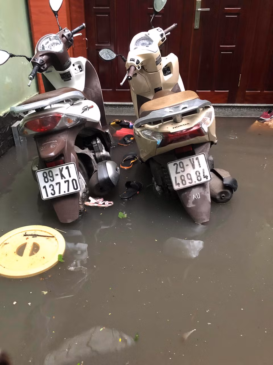 Ảnh: CTV/Vietnam+