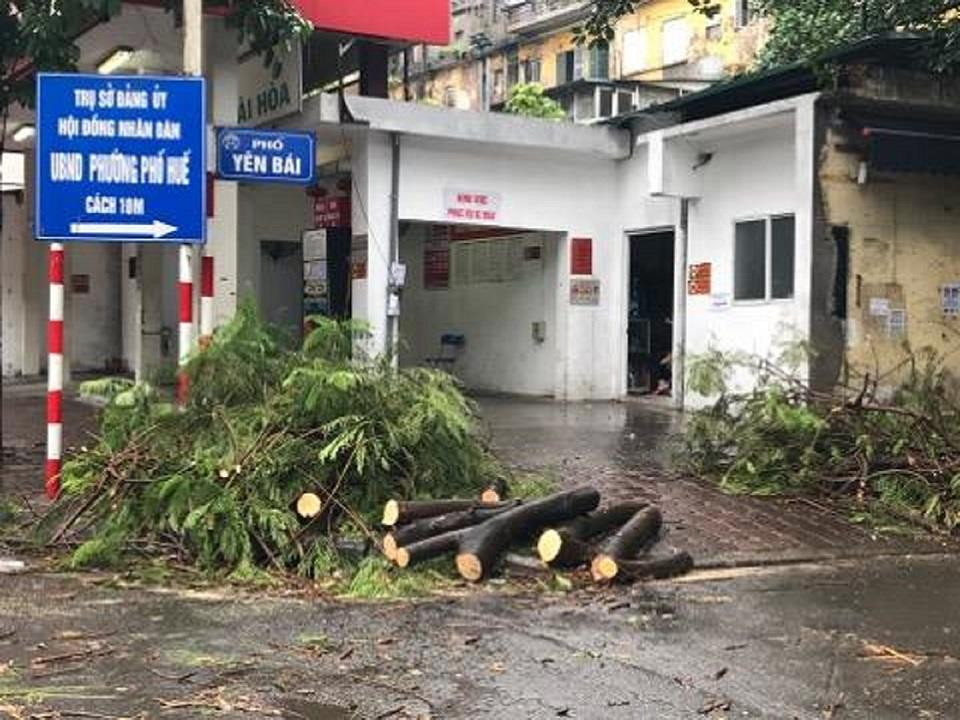 Mưa lớn khiến hàng loạt cây cối trên các con phố đổ rập, gây nguy hiểm đến người đi đường. (Ảnh: PV/Vietnam+)