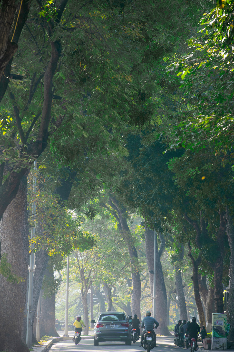 Hồ Gươm không chỉ đẹp với mặt nước yên ả, với giá trị lịch sử của tháp rùa mà còn bởi những hàng cây cổ thụ cao và tán lá dày bao quanh cung đường ven hồ. (Ảnh: Hoài Nam/Vietnam+)