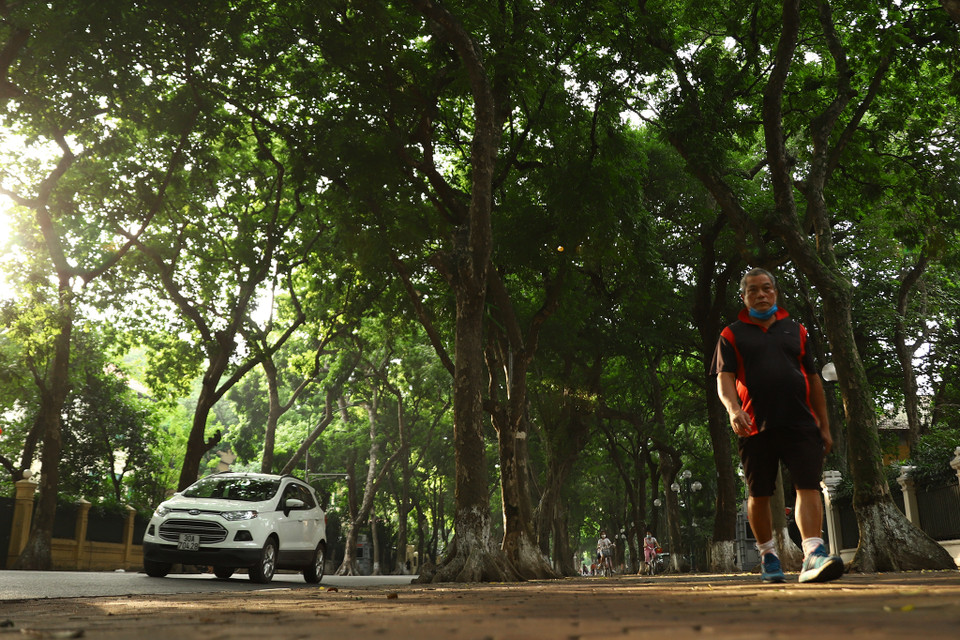 Cứ khoảng 3 giờ đến 5 giờ chiều hằng ngày, người dân lại tản bộ hoặc tập thể dục dưới những tán cây, vừa mát mẻ vừa tận hưởng không khí trong lành. (Ảnh: Hoài Nam/Vietnam+)
