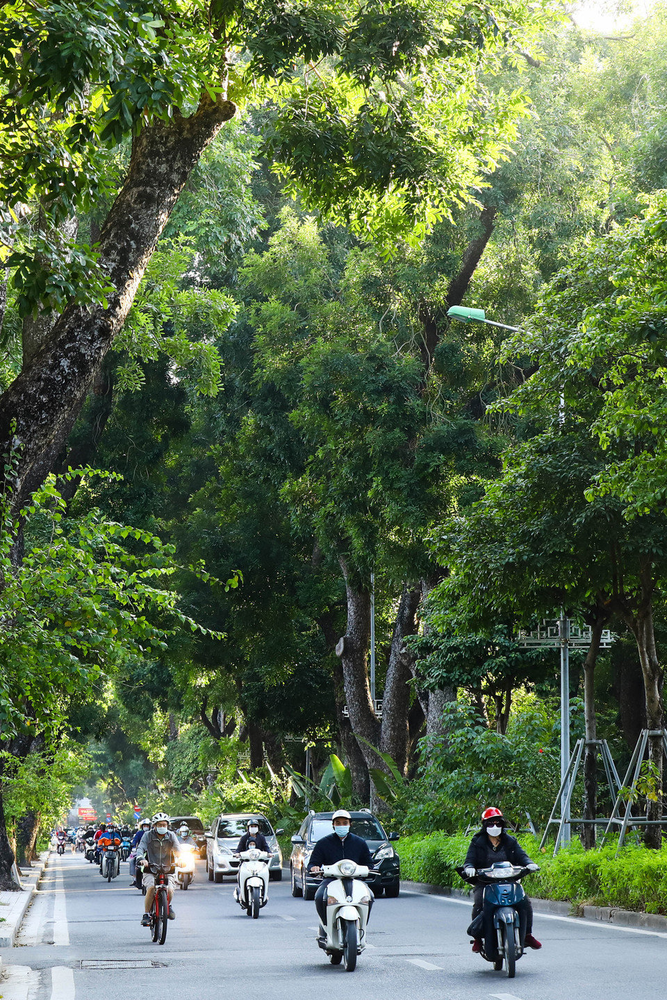 Đi trên con đường xanh mát, người dân Hà Thành lại được trở về với những hoài niệm lịch sử và tinh thần anh dũng của những thế hệ đi trước đã và đang thấm đẫm trong mỗi góc đường, hàng cây Hà Nội hôm nay. (Ảnh: Hoài Nam/Vietnam+)