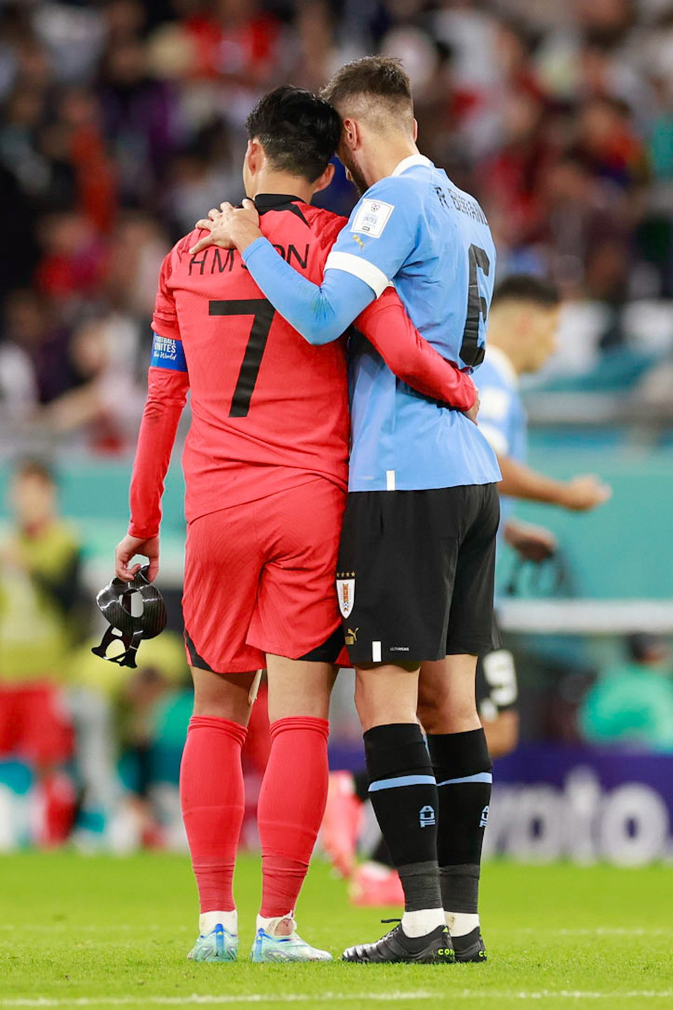 Sau trận đấu, Son Heung-min giữ thái độ vui vẻ và tiếp cận bắt tay với cầu thủ bên phía Uruguay. Trong ảnh, tiền vệ Hàn Quốc thân thiết hỏi thăm người đồng đội cùng chơi tại câu lạc bộ Tottenham, Rodrigo Bentancur. (Ảnh: Hải An/Vietnam+) 